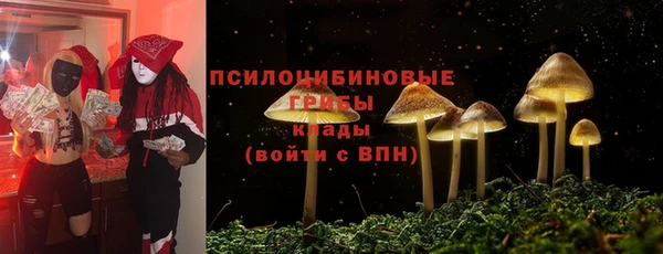 МДПВ Богородицк