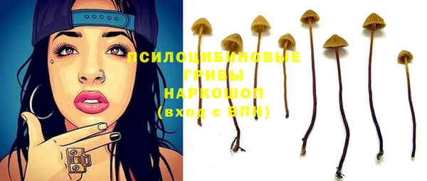 МДПВ Богородицк
