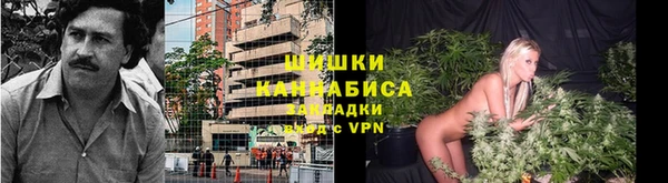 МДПВ Богородицк