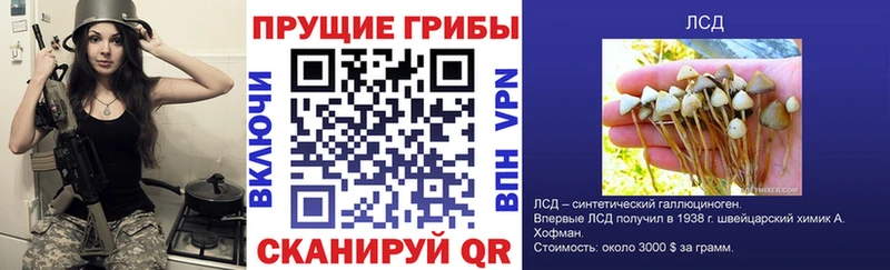 Галлюциногенные грибы GOLDEN TEACHER Купить Вязники